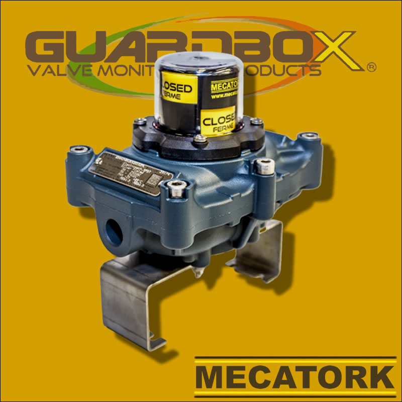Boitier GD Guardbox